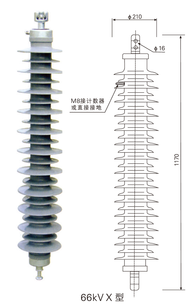 c84.jpg